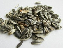 El cuerpo humano necesita de colágeno para el mantenimiento de la piel, los tendones, las articulaciones y los huesos, y esta semilla te ayudará a generarlo. PINTEREST