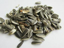 El cuerpo humano necesita de colágeno para el mantenimiento de la piel, los tendones, las articulaciones y los huesos, y esta semilla te ayudará a generarlo. PINTEREST