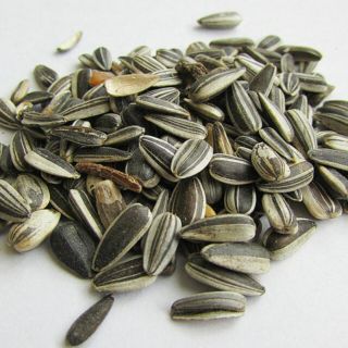 Esta semilla te ayudará a generar colágeno, ¿la conocías?