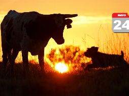 Las temperaturas elevadas que se esperan para Jalisco podrían provocar problemas de salud. AP / ARCHIVO