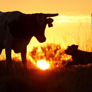 Jalisco enfrenta abrasadores 45 °C por ola de calor este viernes