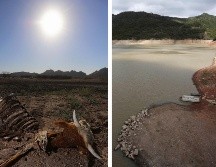Aumento de las temperaturas, sequías, inundaciones y huracanes más devastadores son algunos de los efectos del cambio climático en Jalisco. EL INFORMADOR / ARCHIVO