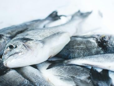 El consumo de aceites de pescado, una fuente rica en ácidos grasos de omega-3, ha sido recomendado como una medida dietética para prevenir enfermedades cardiovasculares. ESPECIAL / Foto de Jakub Kapusnak en Unsplash