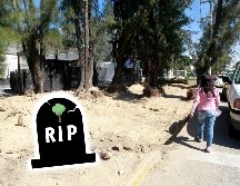 La pérdida de arbolado es uno de los factores que alientan la aparición de islas de calor en el Área Metropolitana de Guadalajara (AMG). EL INFORMADOR / ARCHIVO