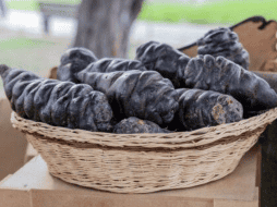 Este tubérculo es nativo de las regiones altas de Perú, Ecuador, Bolivia y Colombia. ESPECIAL