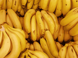 Este superalimento, además de tener múltiples nutrientes, tiene otros varios beneficios para la salud. UNSPLASH/ Rodrigo dos Reis