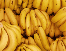 Este superalimento, además de tener múltiples nutrientes, tiene otros varios beneficios para la salud. UNSPLASH/ Rodrigo dos Reis