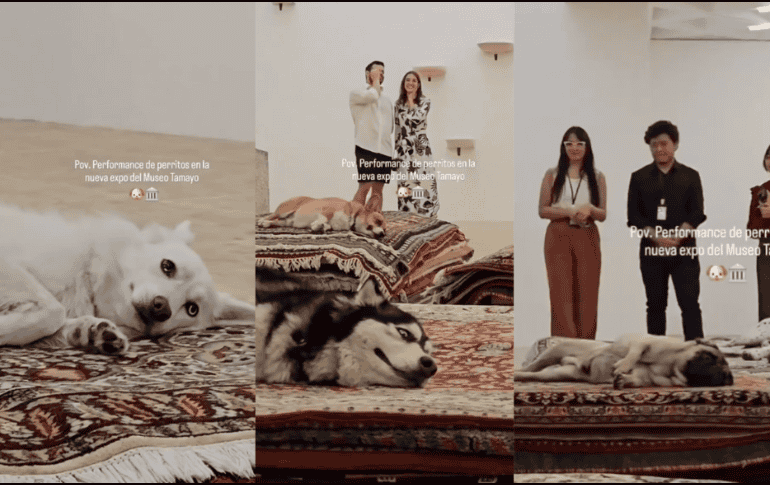 La secretaría de Cultura de la CDMX, rápidamente se deslinda de la organización de dicha exposición. ESPECIAL.