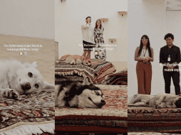 La secretaría de Cultura de la CDMX, rápidamente se deslinda de la organización de dicha exposición. ESPECIAL.