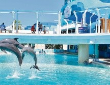 Cancún, más allá  de sus playas