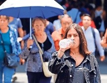 Consumir frutas y verduras ricas en agua es la recomendación de la Secretaría de Salud a nivel federal para mantener una buena hidratación corporal durante el día. SUN / ARCHIVO