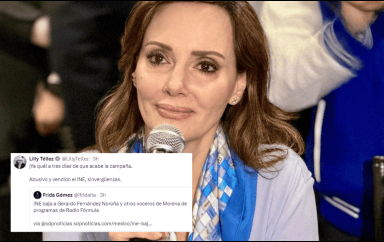 La senadora y periodista compartió su disgusto ante la decisión del INE. INSTAGRAM/ lilytellezg/ X -TWITTER-/ lilytellez