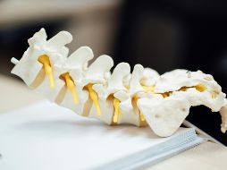 Si quieres cuidar tu columna vertebral debes cargar con cuidado, con la edad el cuerpo se debilita. UNSPLASH/CHUTTERSNAP