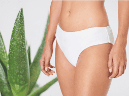 El aloe vera, también conocido como sábila, es una planta suculenta conocida por sus numerosos beneficios medicinales y cosméticos. Especial