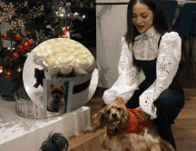 La cantautora tapatía compartió en sus redes sociales unas conmovedoras palabras tras la muerte de su mascota. INSTAGRAM/ patycantu