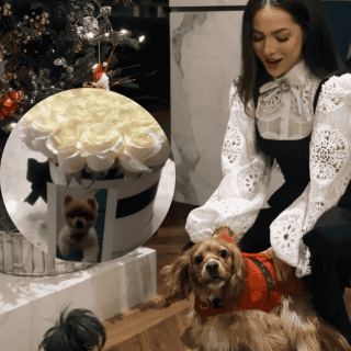 "Me encantó ser tu mamá": Paty Cantú le da el último adiós a su perrito, Hámster