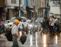 Más allá de algunos árboles caídos y algunas vialidades inundadas, la tormenta dejó saldo blanco, y fue bien recibida por los tapatíos. EL INFORMADOR/ ARCHIVO