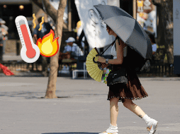 Hay ciudades del norte de México que alcanzan temperaturas desde 48 °C a más de 50 °C. INFORMADOR / ARCHIVO