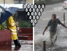 Ayer una lluvia se registró por varias zonas del Área Metropolitana de Guadalajara, lo que entusiasmó a muchos tapatíos. EL INFORMADOR / ARCHIVO
