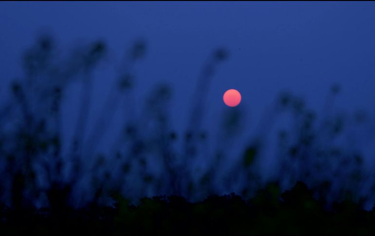 En junio de 2024, habrá numerosos eventos astronómicos imperdibles. Desde la alineación de planetas hasta la encantadora 'Luna de Fresa. PEXELS/Ankit Rainloure