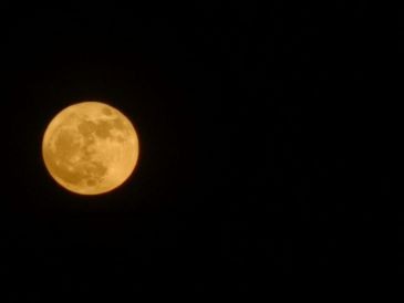 Lo más probable es que la Luna se vea de un color naranja dorado o blanco, similar a cualquier otra luna llena. EL INFORMADOR / E. Elizondo