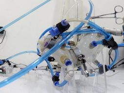 Estómago artificial que pretende emular el funcionamiento de un estómago humano. ESPECIAL/Foto de UNAM en X