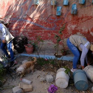 Aumentan casos de dengue en Jalisco
