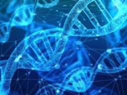 Los hallazgos se sitúan en un pequeño gen no codificante. ESPECIAL/Foto de Gerd Altmann en Pixabay