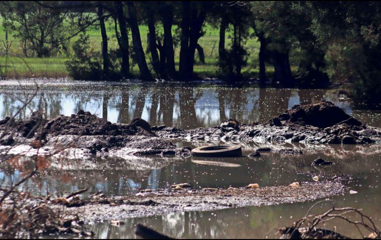 BM y FMI buscan mejorar los programas de reforma contra el cambio climático impulsados por los países. EL INFORMADOR/ ARCHIVO