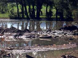 BM y FMI buscan mejorar los programas de reforma contra el cambio climático impulsados por los países. EL INFORMADOR/ ARCHIVO