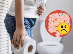 La microbiota intestinal ayuda a mantener un equilibrio saludable en nuestra flora intestinal.  ESPECIAL