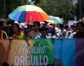 Marcha del orgullo LGTB, exigiendo derechos igualitarios para la comunidad de la bandera arco iris. EL INFORMADOR/ ARCHIVO.