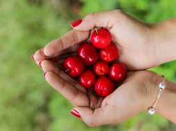 Este fruto exótico contiene altos niveles de fibra, antioxidantes y vitaminas. ESPECIAL/Foto de Manu Camargo en Unsplash