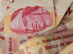 Cuatro de los cinco componentes que integran el indicador, reportaron un retroceso mensual. INFORMADOR / ARCHIVO