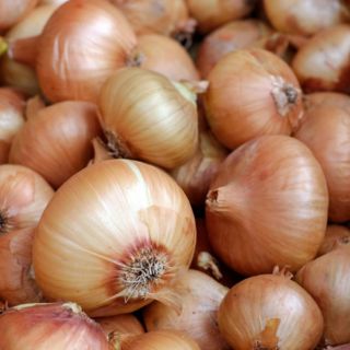 Conoce los beneficios de comer cebolla cruda