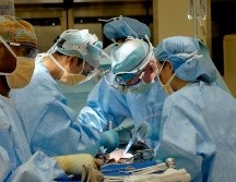 La respuesta a eta investigación sería digna ganadora de un Premio Nobel. UNSPLASH / NATIONAL CANCER INSTITUTE