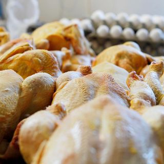 Secretaría Salud desmiente a la OMS por supuesta muerte por gripe aviar