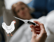 La gripe aviar se está convirtiendo en un problema de sanidad en México. CANVA