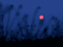 Aprovecha esta próxima Luna de fresa para atraer la abundancia a tu vida y disfrutar de una buena semana. PEXELS/Ankit Rainloure