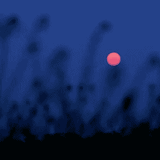 Estos signos zodiacales recibirán abundancia durante la Luna de Fresa