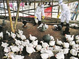 El doctor Samuel Ponce de León dijo que, si el paciente detectado no hubiera sido atendido en el INER, tal vez no se sabría del caso. EFE / ARCHIVO