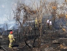 Al sitio acudieron bomberos del estado, Tlaquepaque, Zapopan y Guadalajara para combatir el siniestro. ESPECIAL.