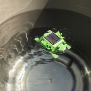 Universidad peruana diseña un sapito de plástico que previene la propagación del dengue