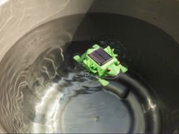 Este producto tiene el potencial de ser implementado en diversas comunidades. CORTESÍA