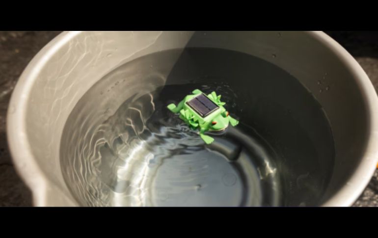 Este producto tiene el potencial de ser implementado en diversas comunidades. CORTESÍA