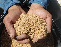 Los altos precios se deben a los 