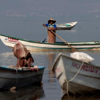 ¿Cuál es el nivel actual del lago de Chapala?