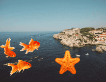 Esta fecha fue propuesta por la UNESCO en 1992, y estas son las razones detrás de ella. UNSPLASH/ Sebastian Scheuer/ ESPECIAL