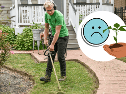 Este descubrimiento destaca la importancia de mantener una mente abierta y receptiva a nuevas ideas y hallazgos. UNSPLASH/Jared Muller