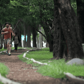 Revelan la fruta que da energía a deportistas